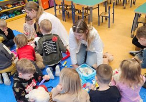 Dzieci z grupy Krasnoludki badają swoje misie