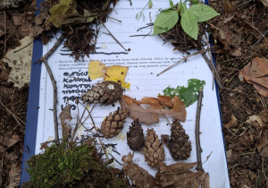 Leśne zwierzę z leśnych skarbów.