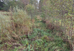 Projekt "Cudze chwalicie, swego nie znacie".