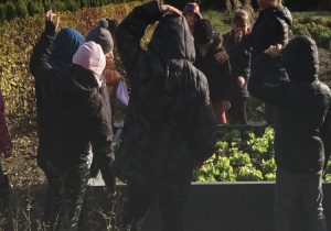 Uczniowie obserwują roślinność w szkółce ogrodniczej.