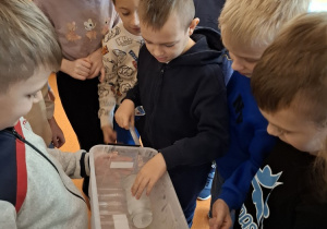 Uczniowie obserwują efekty doświadczenia.