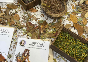 Warsztaty ziołowe z "Panią Monią od ziół".