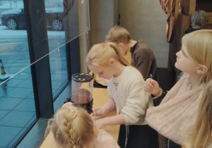 Dzieci poznają nasiona kakaowca różnymi zmysłami.