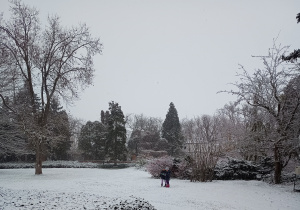 Gra terenowa w parku.