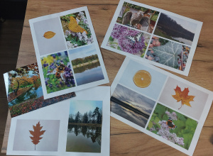 Symetria w przyrodzie