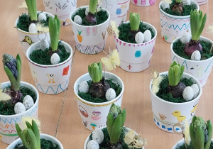 Hiacynty w udekorowanych przez uczniów doniczkach.