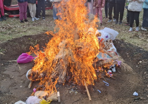 Palące się marzanny.