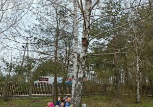 Wiosenne obserwacje w ogrodzie.