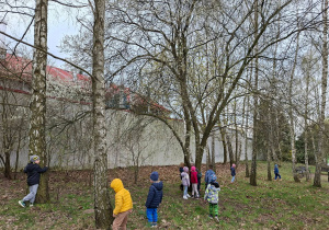 Wiosenne obserwacje w ogrodzie.