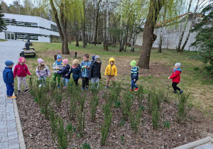 Wiosenne obserwacje w ogrodzie.