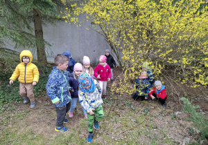 Wiosenne obserwacje w ogrodzie.