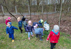 Wiosenne obserwacje w ogrodzie.