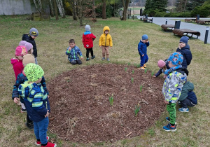 Wiosenne kwiaty w naszym ogrodzie.