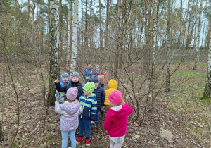 Wiosenne obserwacje w ogrodzie.