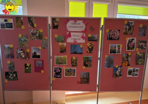 Fotografie konkursowe uczniów.