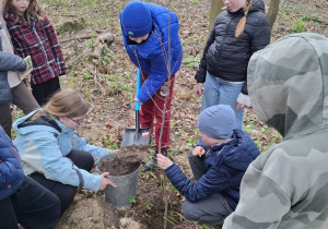 Uczniowie sadzą drzewko.