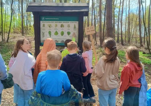 Uczniowie rozpoznają gatunki drzew na tablicy edukacyjnej.
