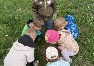 Na majowej łące.