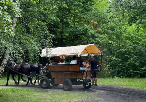 Przejażdżka bryczką.