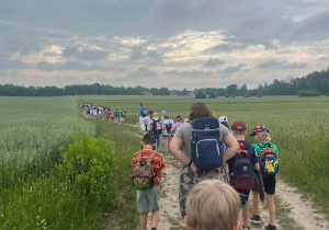 Klasy 1-3 podczas pieszej wycieczki na piknik.