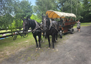 Konie i bryczka przygotowane do przejażdżki.