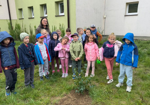 Uczniowie klasy 1a podczas sadzenia klasowego drzewka.